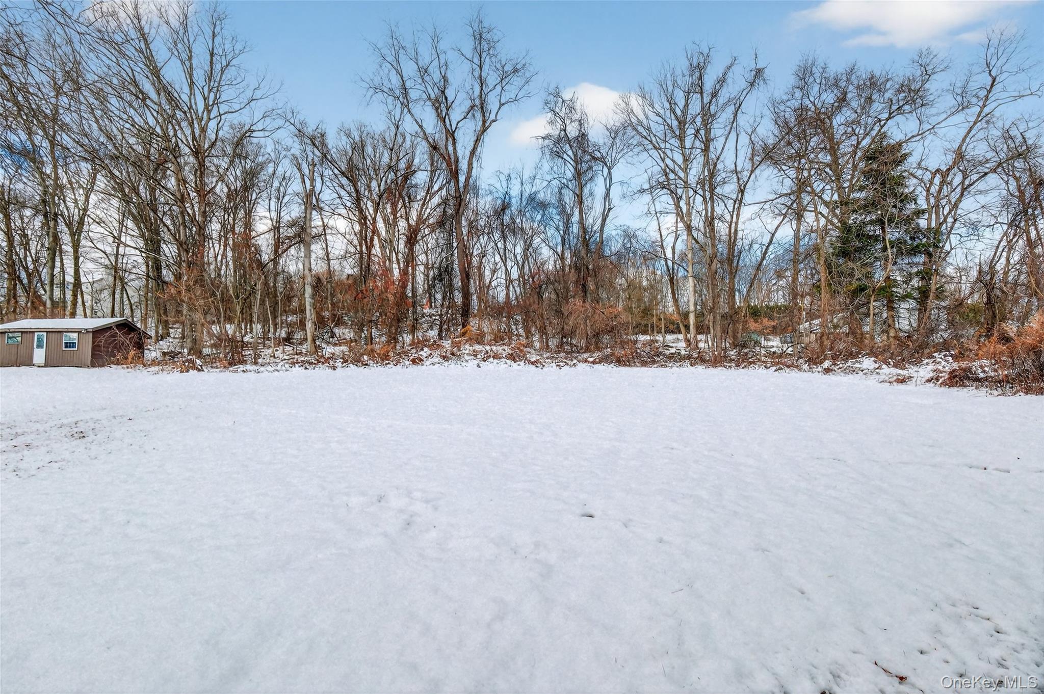 93 Old Mill Road Wallkill, NY 12589 - Photo 37 of 39 View of yard layered in snow