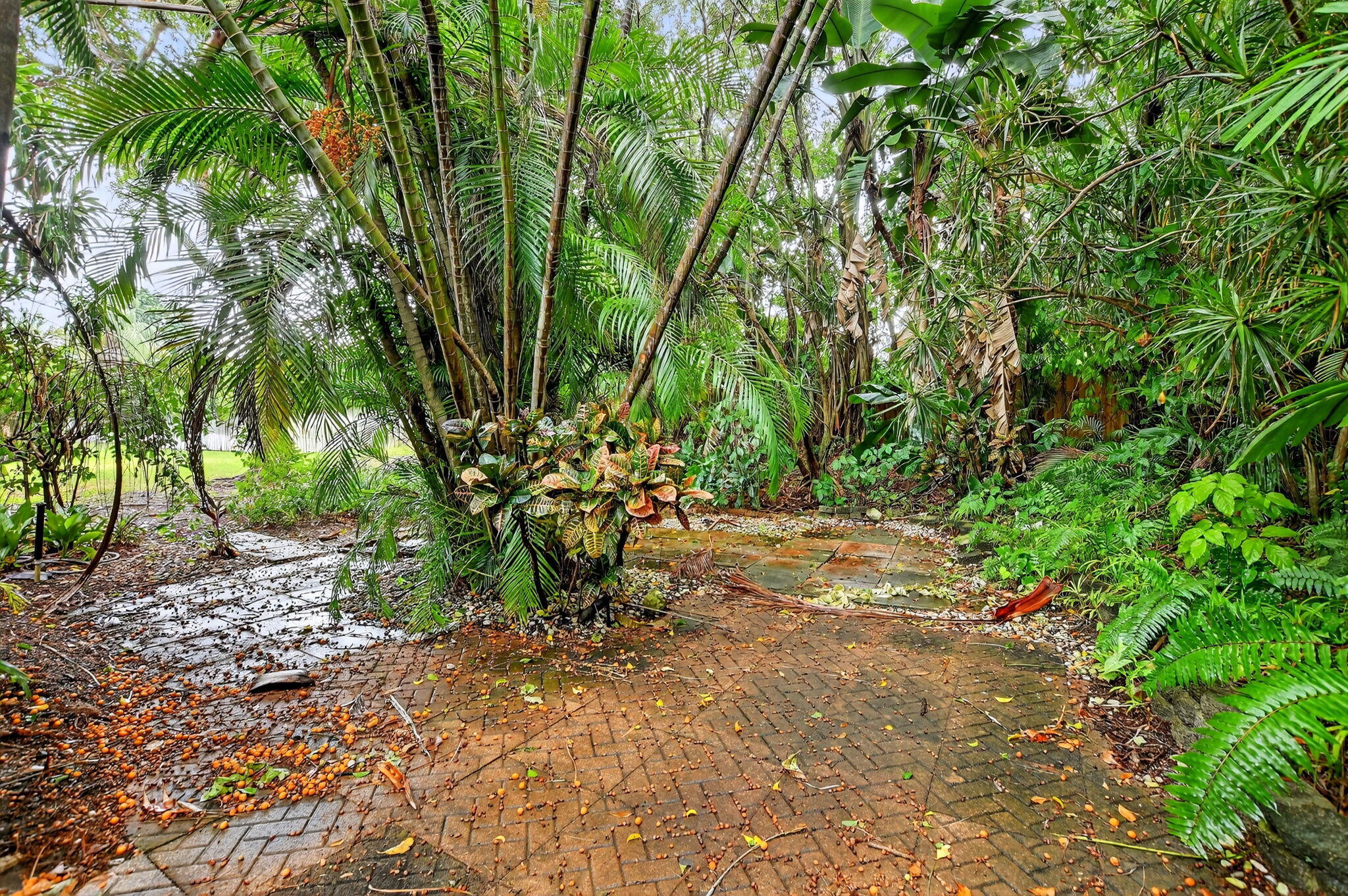 6758 Canary Palm Circle Boca Raton, FL 33433 - Photo 41 of 55 38-web-or-mls-044_DSC_1416