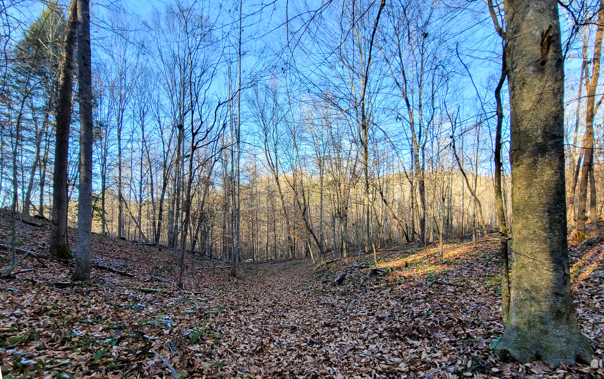 0 Beech Timber Road Beattyville, KY 41311 - Photo 48 of 54 20241212_154721