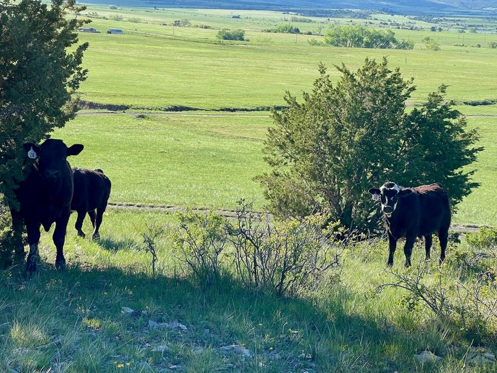 8400 3 R Road Beulah, CO 81023 - Photo 31 of 55