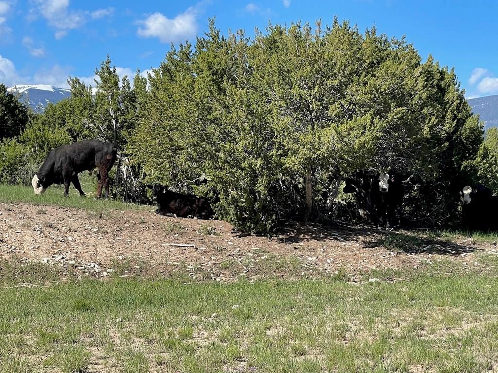 8400 3 R Road Beulah, CO 81023 - Photo 32 of 55