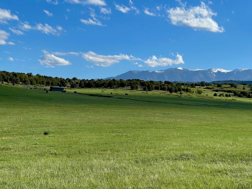 8400 3 R Road Beulah, CO 81023 - Photo 4 of 55