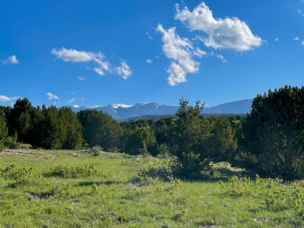 8400 3 R Road Beulah, CO 81023 - Photo 41 of 55