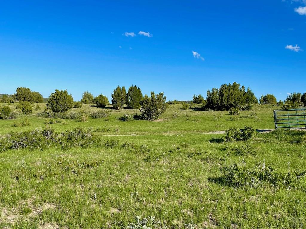 8400 3 R Road Beulah, CO 81023 - Photo 42 of 55