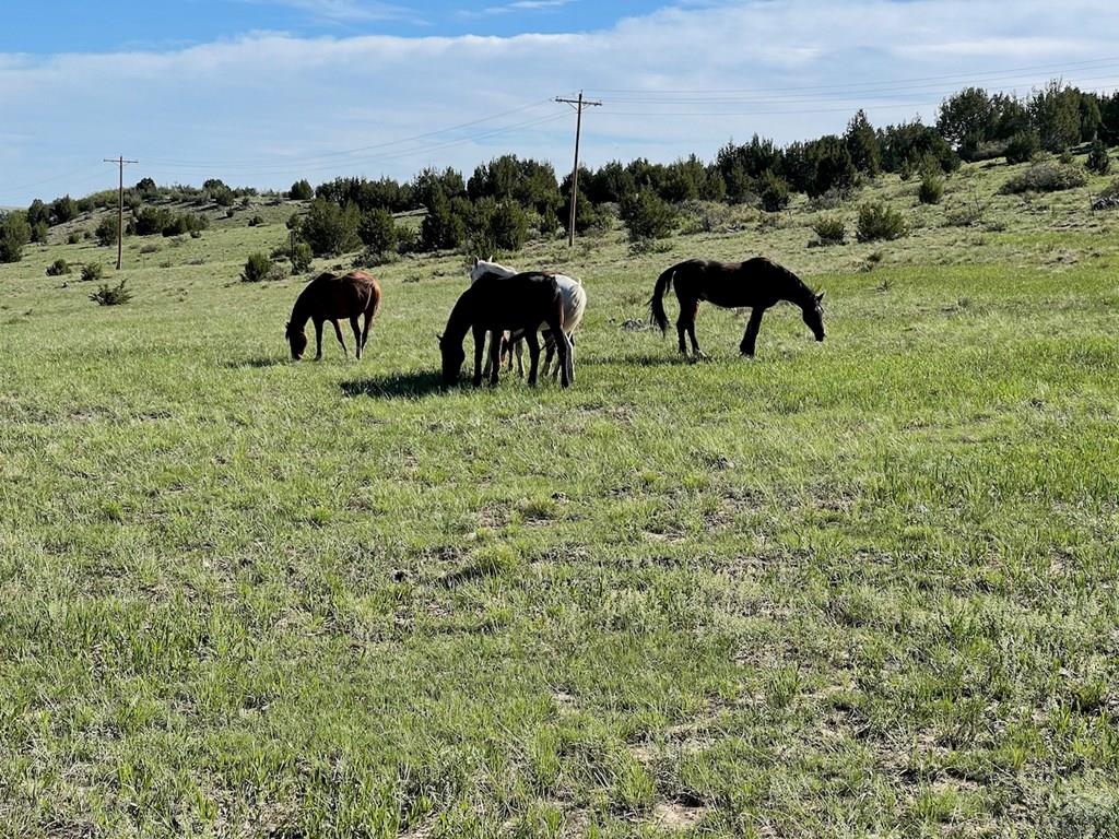 8400 3 R Road Beulah, CO 81023 - Photo 44 of 55