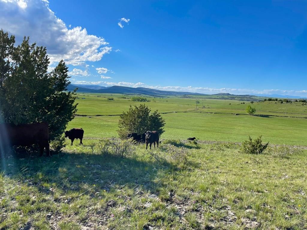 8400 3 R Road Beulah, CO 81023 - Photo 46 of 55