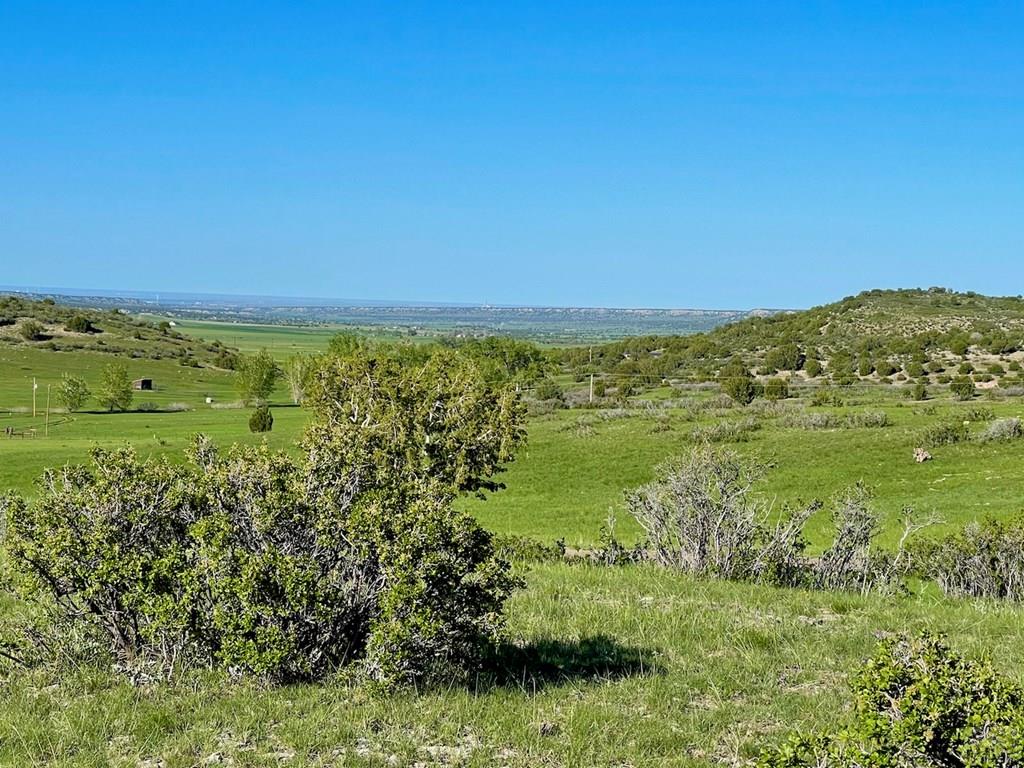 8400 3 R Road Beulah, CO 81023 - Photo 52 of 55