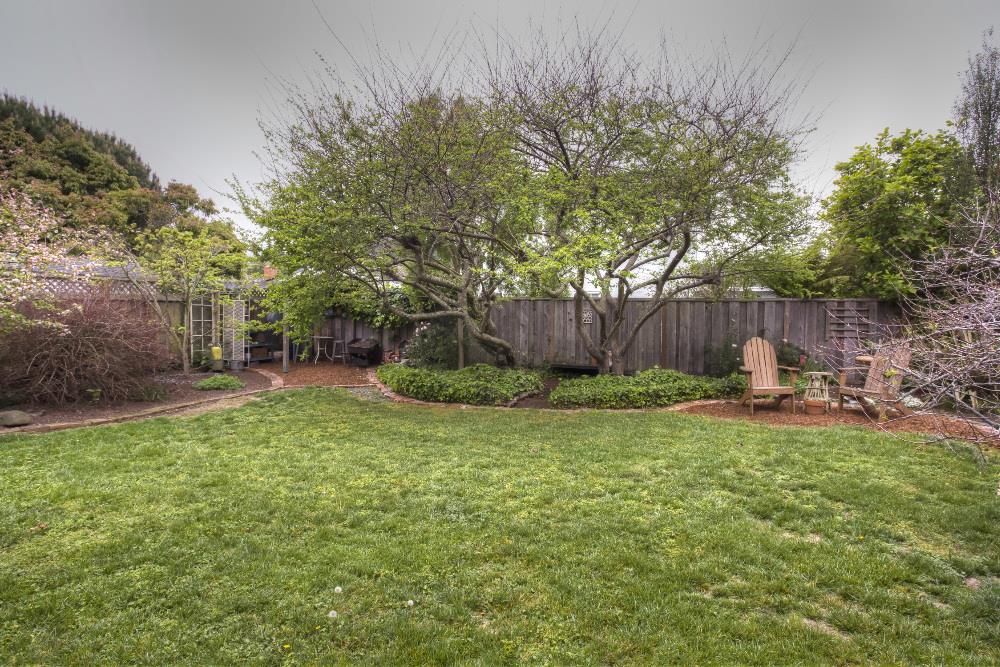 1452 Adobe Drive Pacifica, CA 94044 - Photo 18 of 23 a view of a garden with a slide