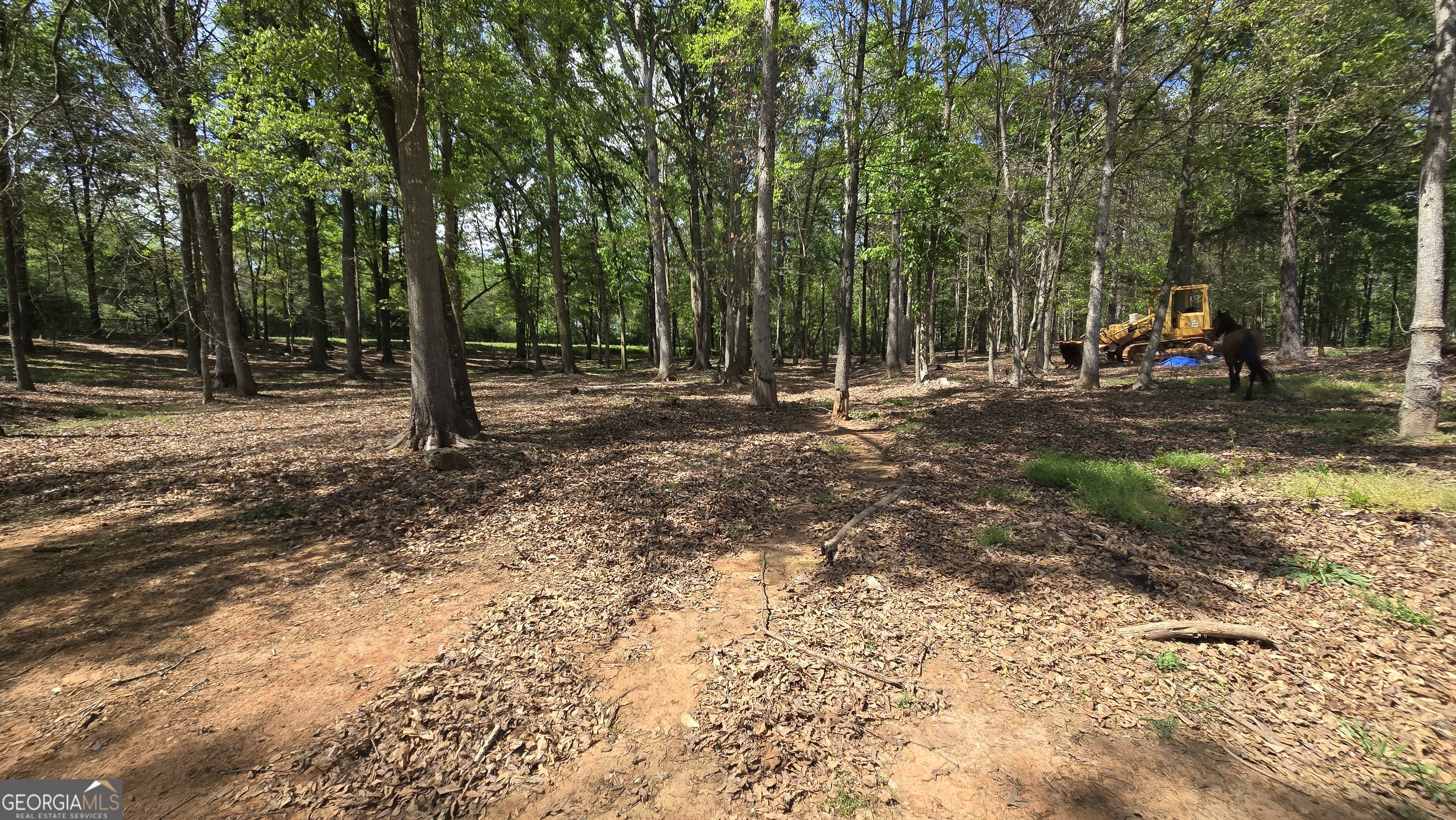 213 Duncan Swindle Road Commerce, GA 30530 - Photo 55 of 87