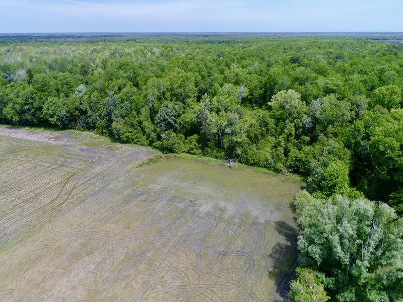 Off North Lake Road Fairfield, NC 27826 - Photo 8 of 27 DJI_0090
