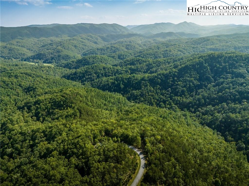 1319 Roundleaf Lane Ferguson, NC 28624 - Photo 1 of 20