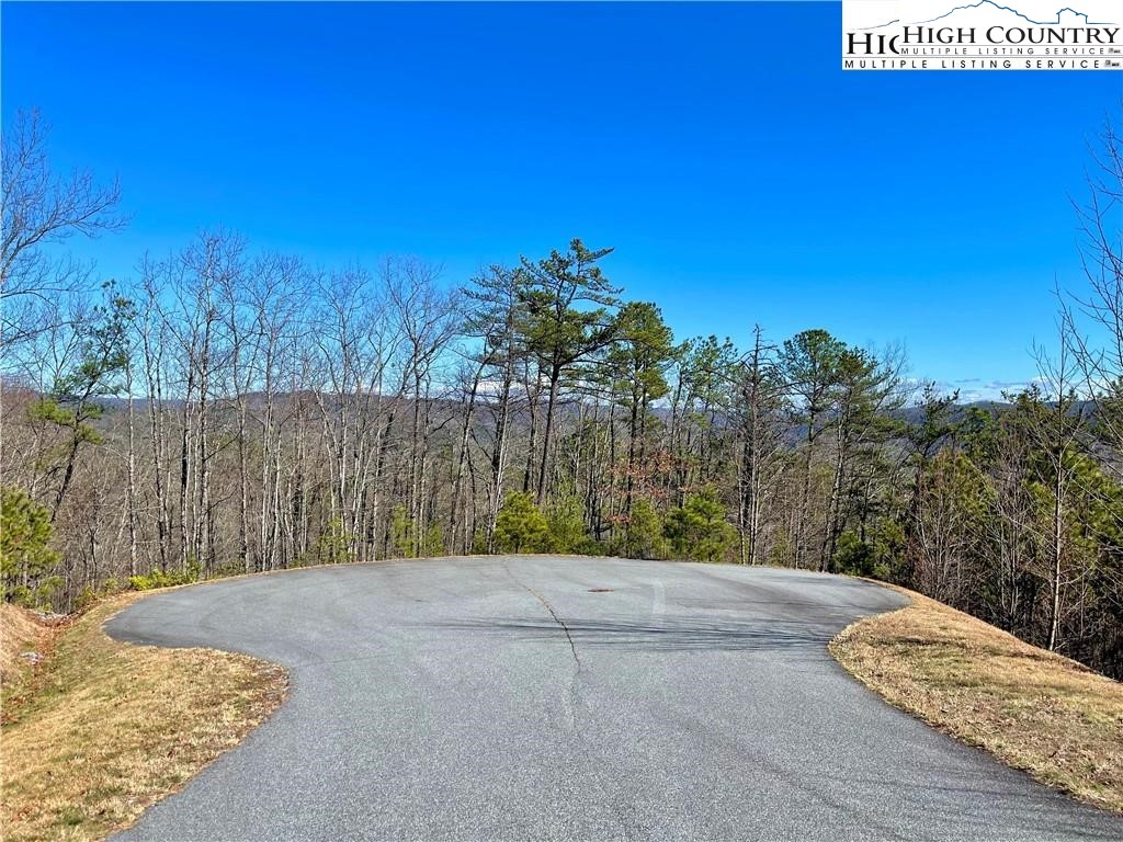 1319 Roundleaf Lane Ferguson, NC 28624 - Photo 3 of 20