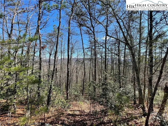 $299,000 | 1319 Roundleaf Lane, Ferguson, NC 28624