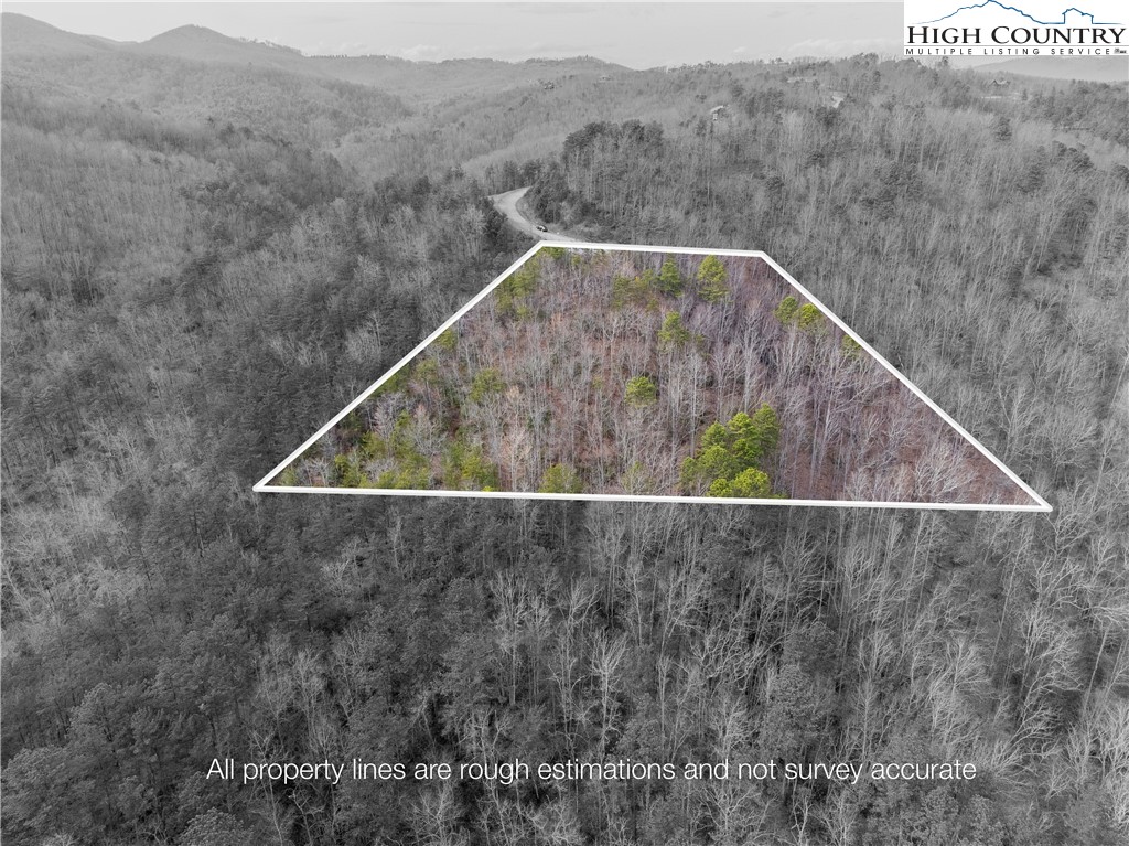 1319 Roundleaf Lane Ferguson, NC 28624 - Photo 8 of 20