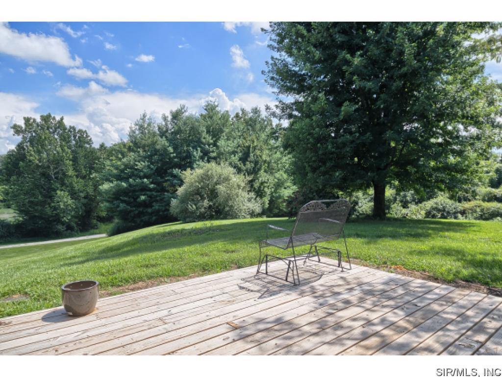 6010 Renken Road Dorsey, IL 62021 - Photo 3 of 33