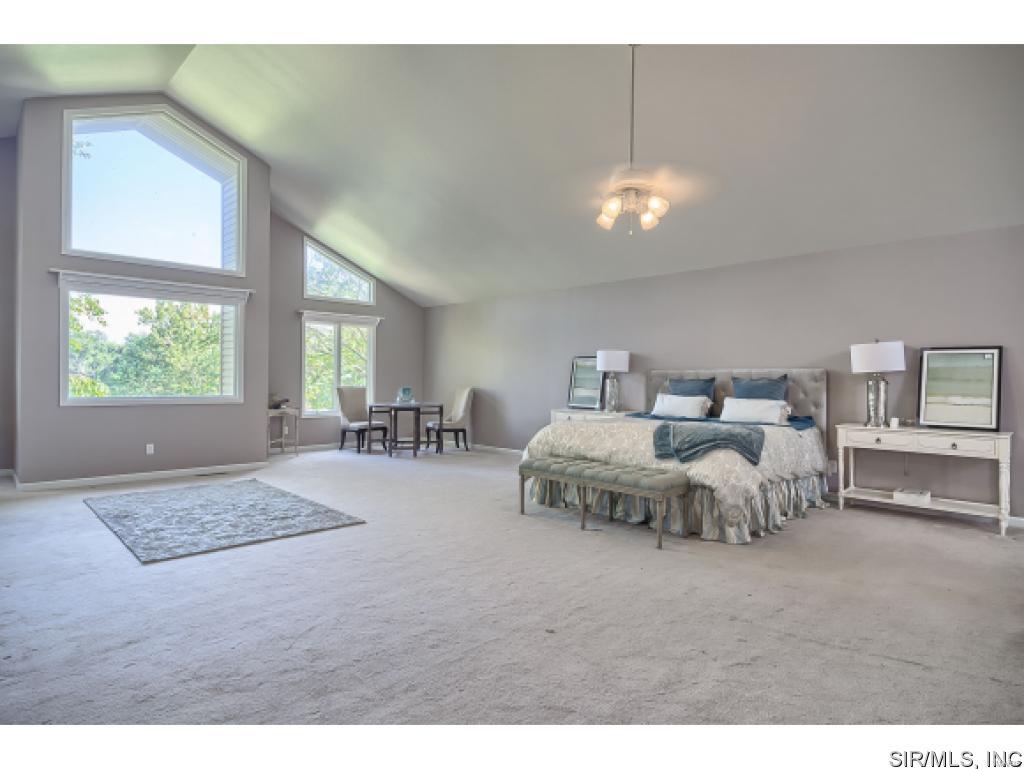 6010 Renken Road Dorsey, IL 62021 - Photo 23 of 33