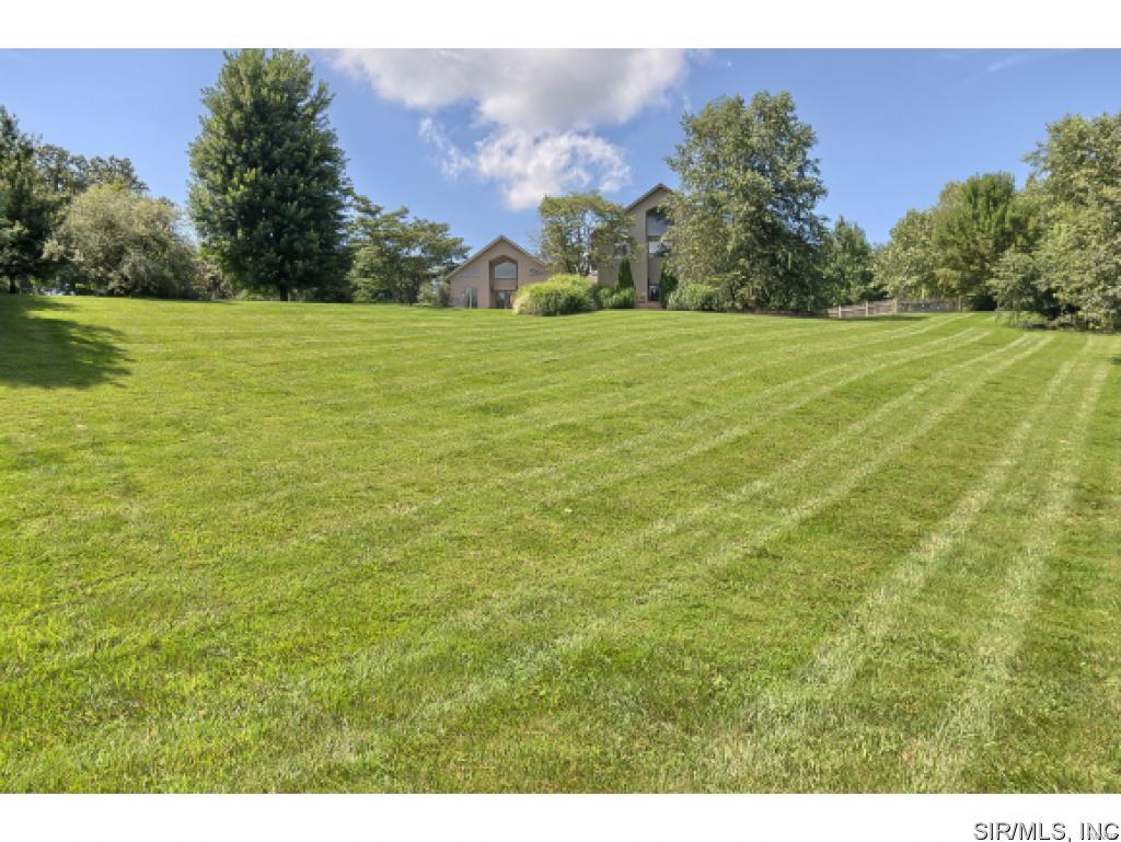 6010 Renken Road Dorsey, IL 62021 - Photo 7 of 33