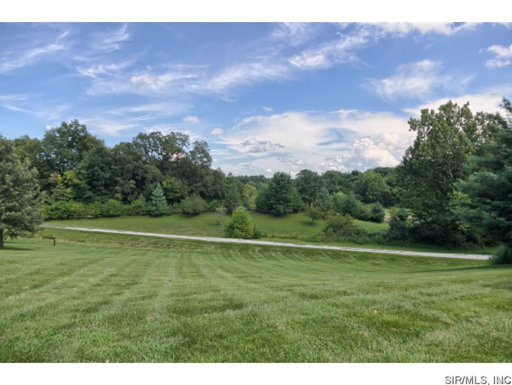 6010 Renken Road Dorsey, IL 62021 - Photo 8 of 33