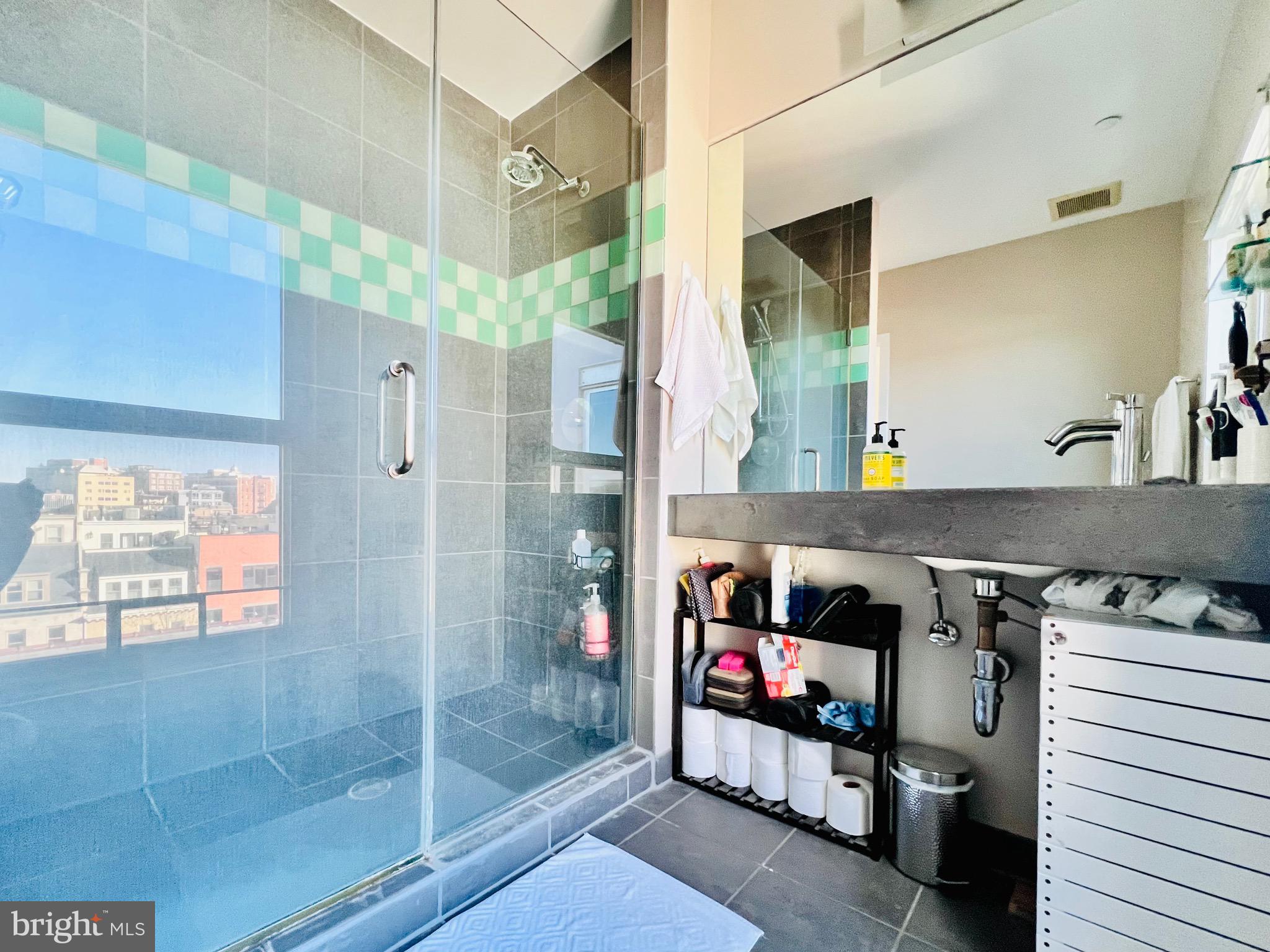 2410 17th Street Northwest, Unit 300 Washington, DC 20009 - Photo 12 of 22 Master bathroom