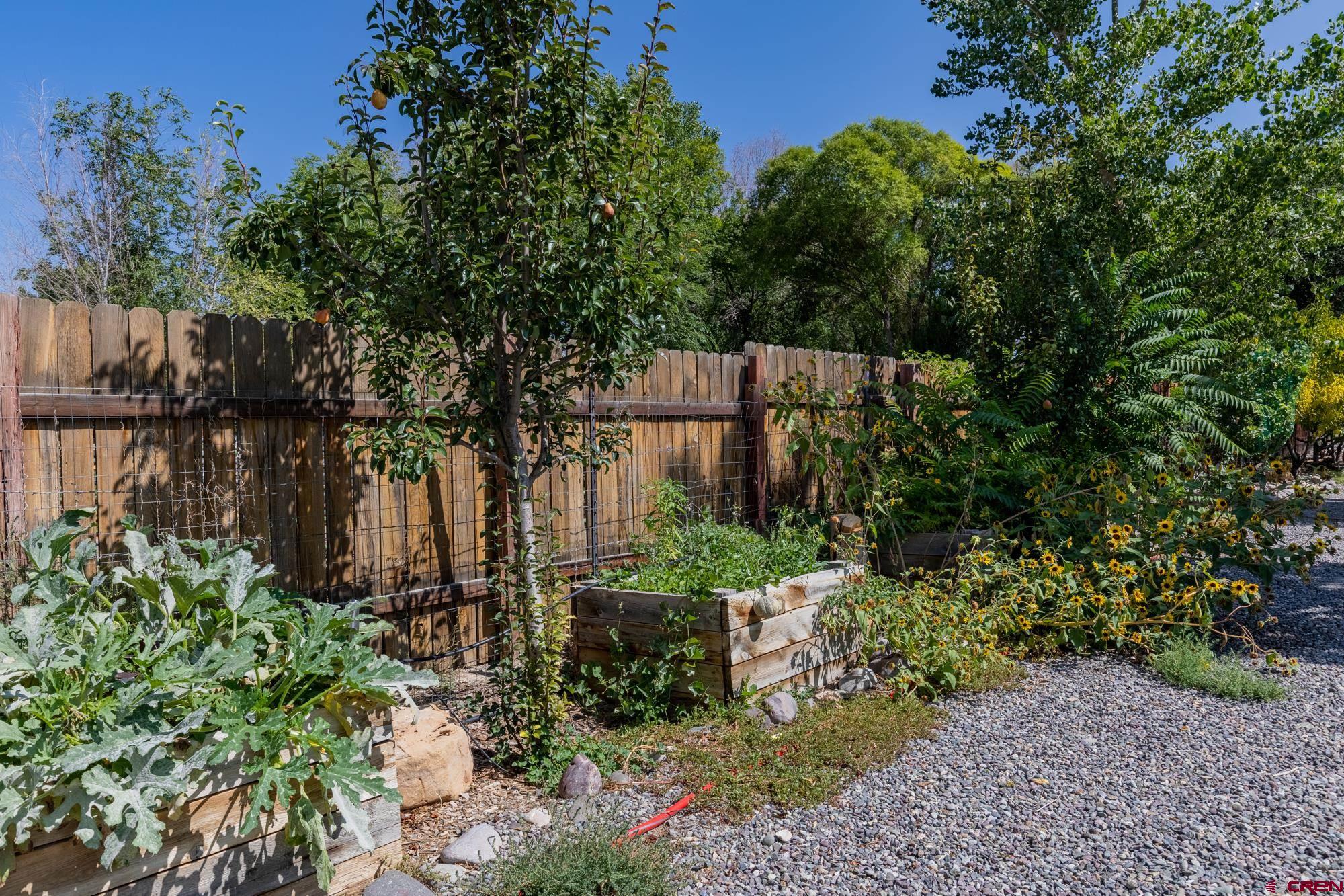2243 6450th Road Montrose, CO 81401 - Photo 3 of 35 Gallery Image 3