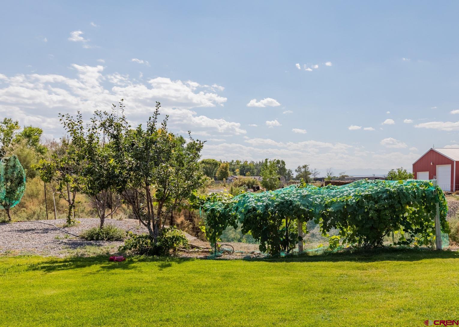 2243 6450th Road Montrose, CO 81401 - Photo 6 of 35 Gallery Image 6