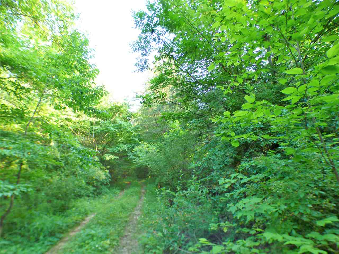 5654 Gun Shop Road Shoals, IN 47581 - Photo 22 of 35