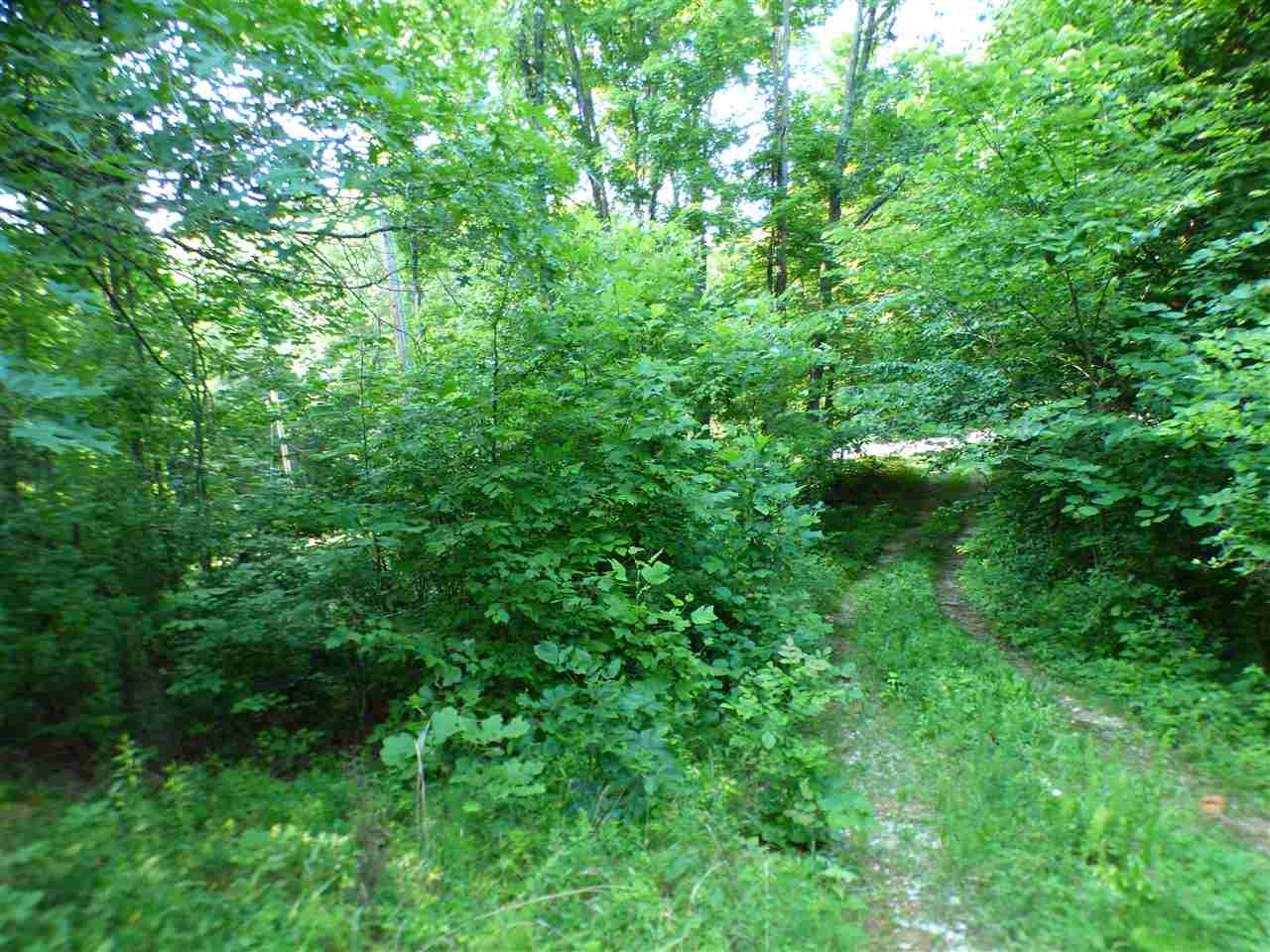 5654 Gun Shop Road Shoals, IN 47581 - Photo 8 of 35