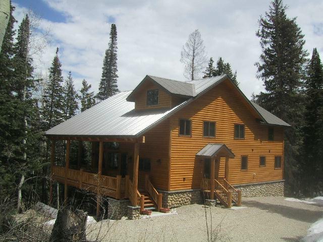 295 Woods Road Placerville, CO 81430 - Photo 4 of 4 Additional Photo