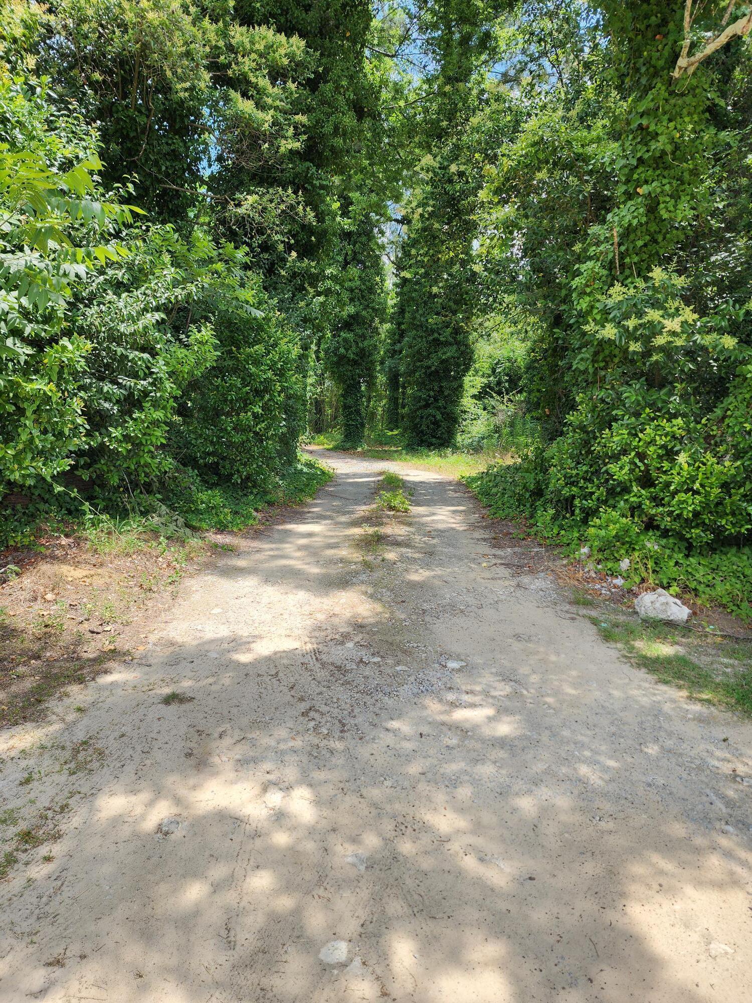 12546 U.S. Rte 1 Wrens, GA 30833 - Photo 4 of 38 20240603_122640