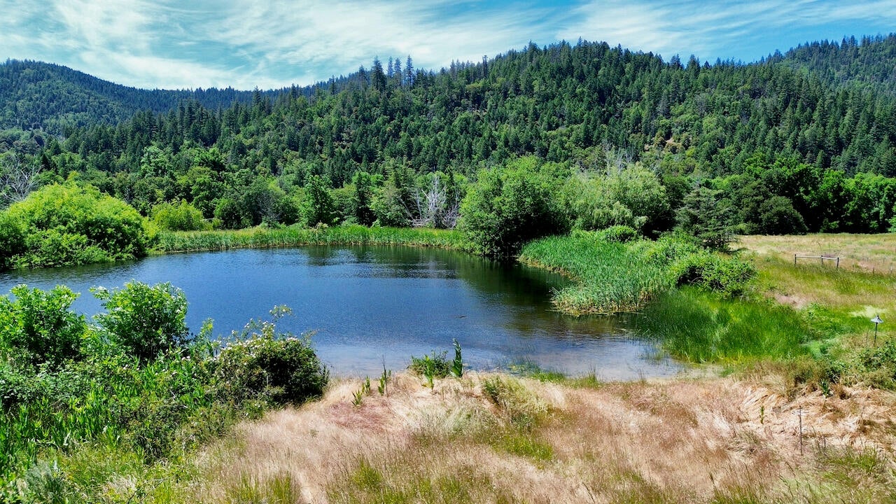 6901 Thompson Creek Road Jacksonville, OR 97530 - Photo 10 of 88 6901 Thompson Crk