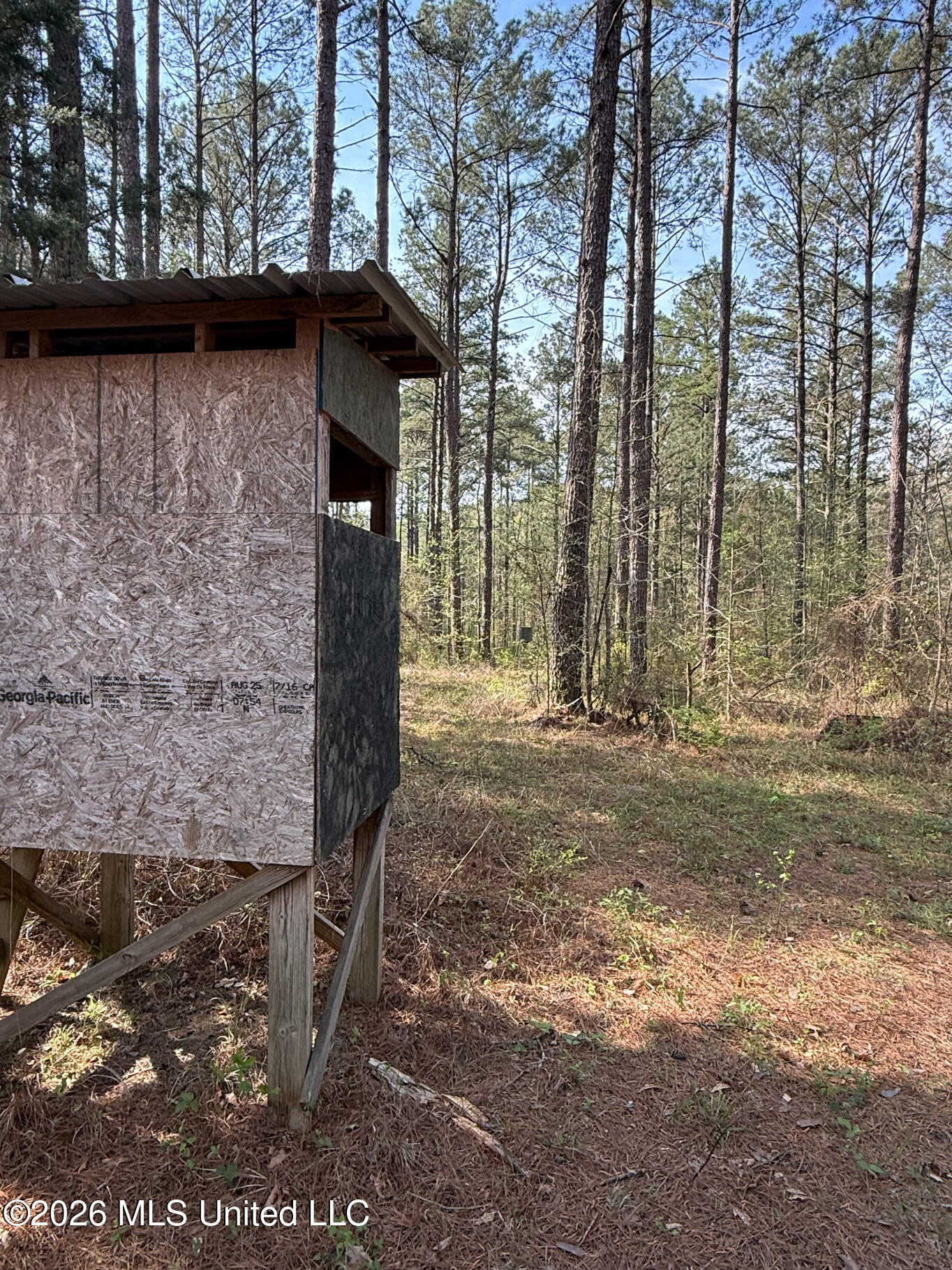 2893 Truesdale Road Carthage, MS 39051 - Photo 14 of 23 Leake 33-27