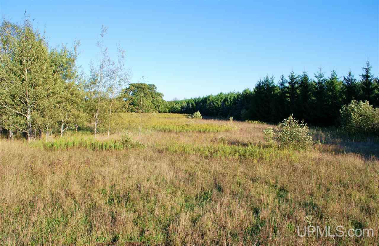 Tbd Golf Course Road Calumet, MI 49913 - Photo 2 of 34