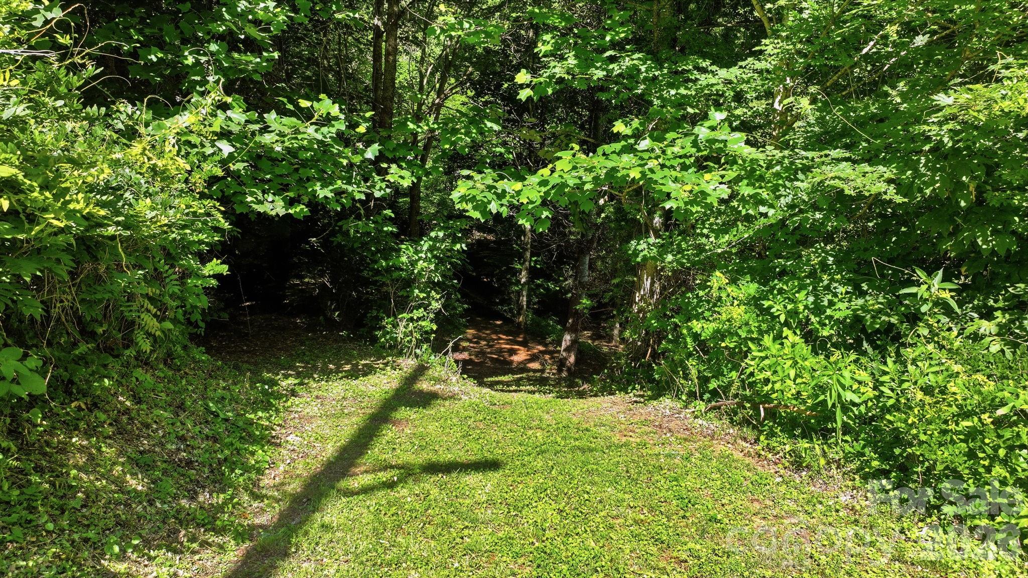 Tbd Dark Ridge Road Sylva, NC 28779 - Photo 4 of 17