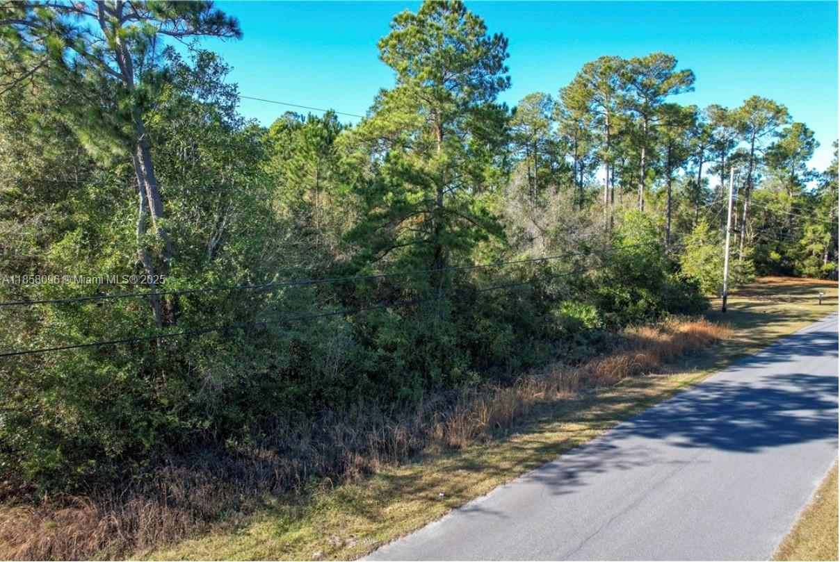 Lot 36 Burmeister Road Fernandina Beach, FL 32034 - Photo 3 of 15 a view of a lake view with large tree