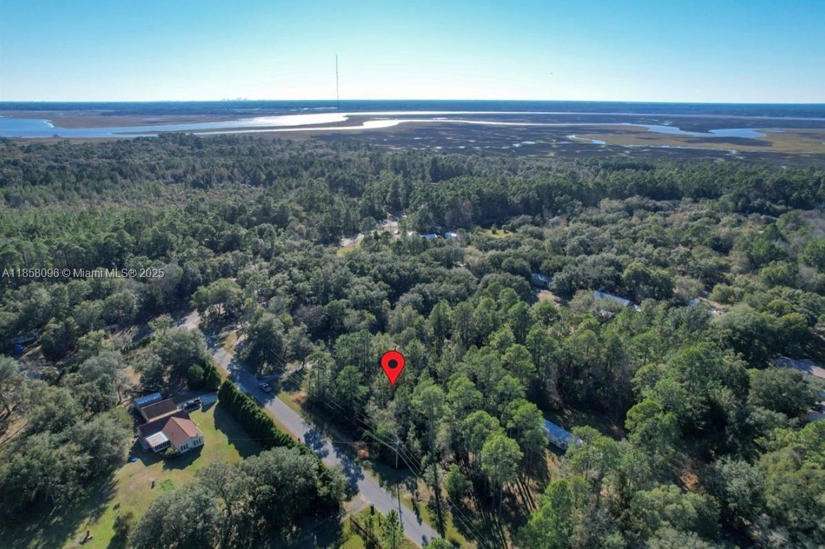 Lot 36 Burmeister Road Fernandina Beach, FL 32034 - Photo 5 of 15 a view of a lush green forest with lots of trees