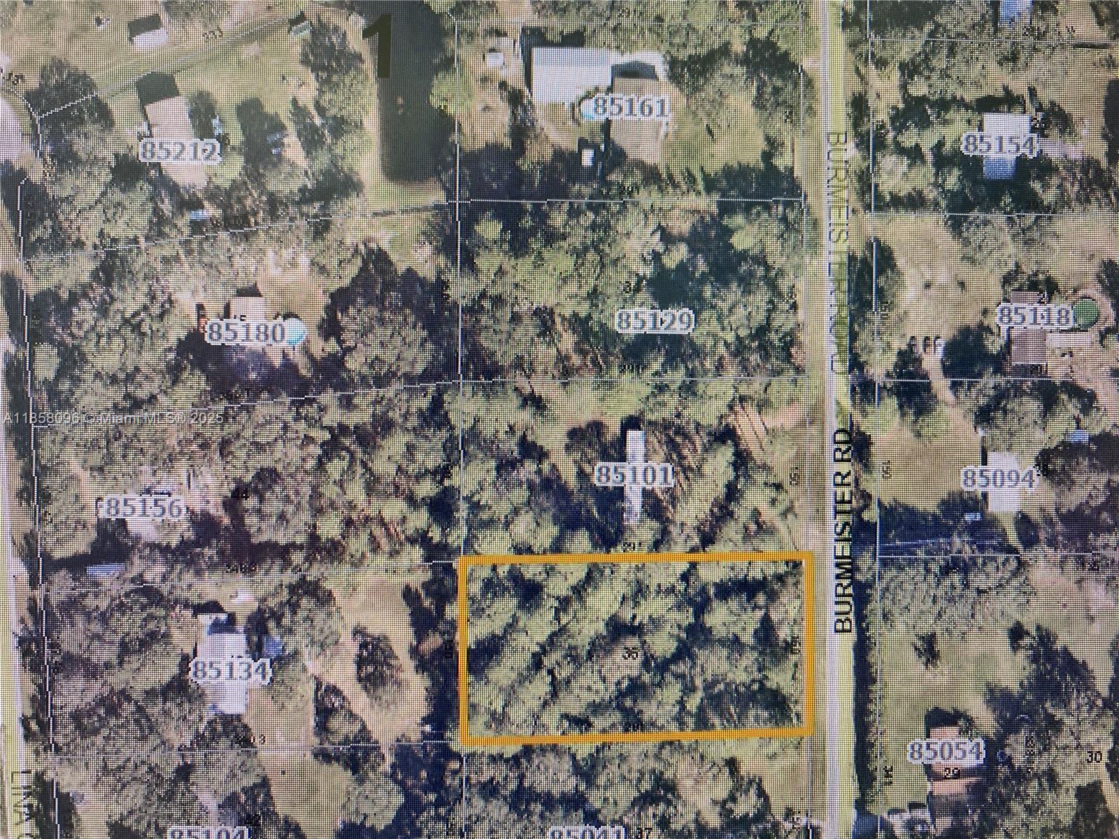 Lot 36 Burmeister Road Fernandina Beach, FL 32034 - Photo 6 of 15