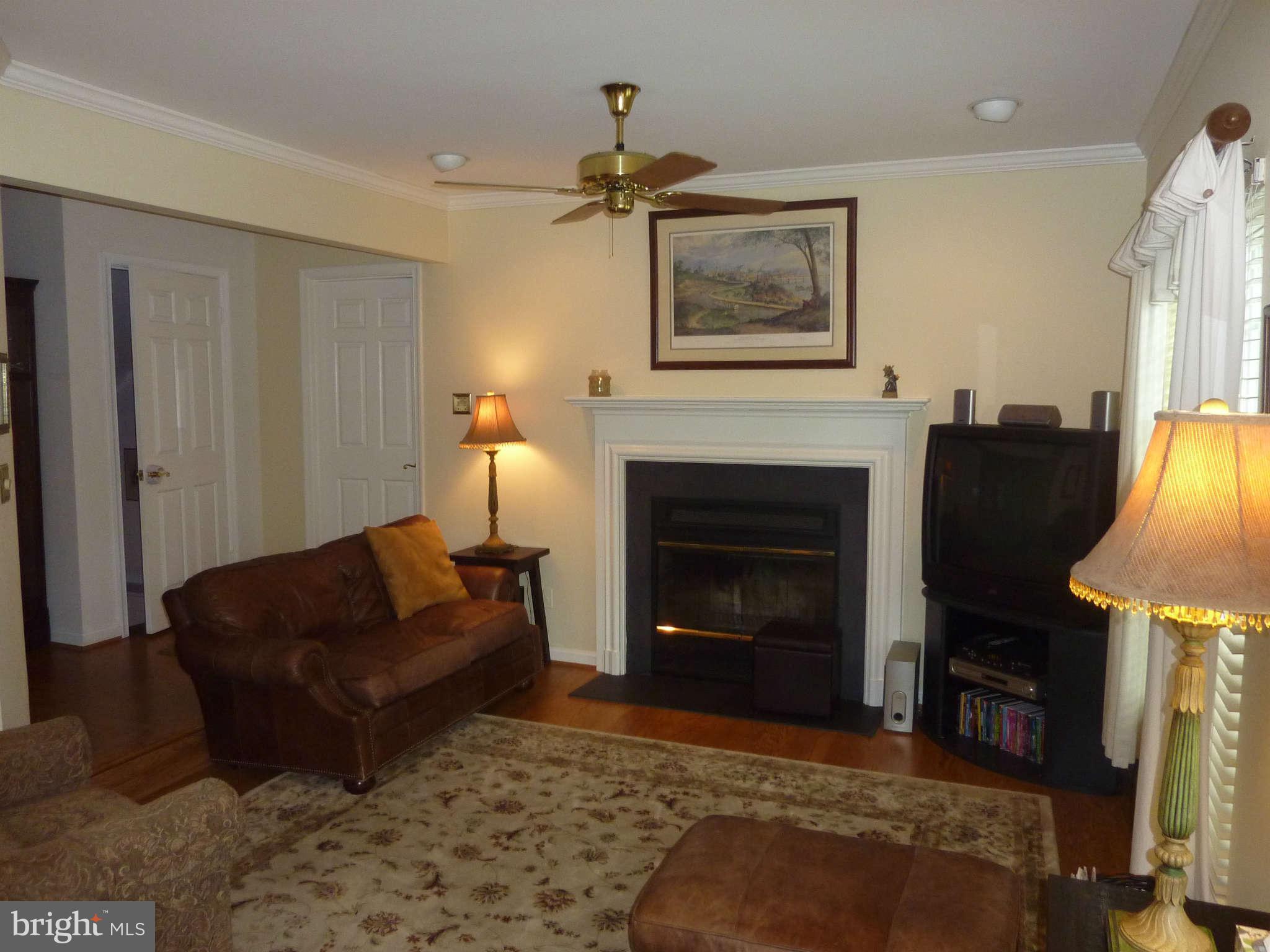 10511 Pot Spring Road Cockeysville, MD 21030 - Photo 13 of 29 Family Room with fireplace