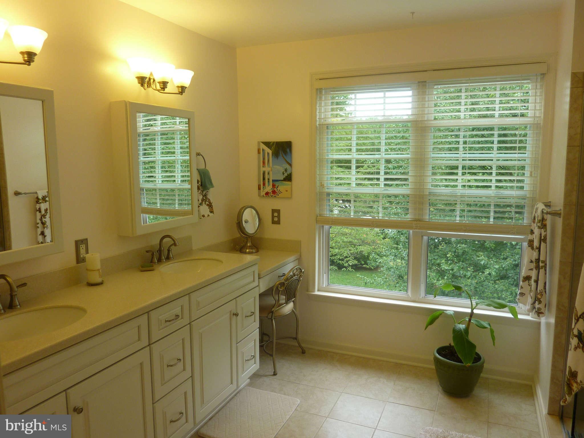 10511 Pot Spring Road Cockeysville, MD 21030 - Photo 19 of 29 Bath (Master)