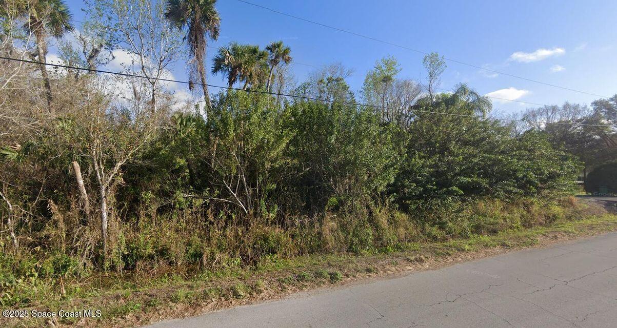 3358 Lionel Road Mims, FL 32754 - Photo 1 of 6 a view of a yard