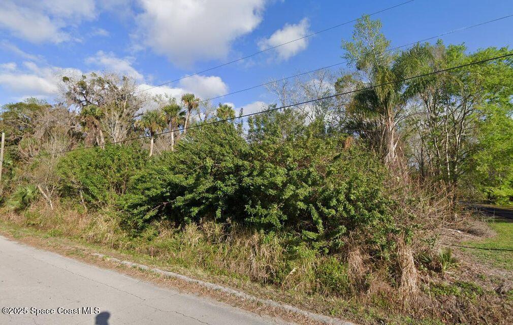 3358 Lionel Road Mims, FL 32754 - Photo 3 of 6 a view of a garden