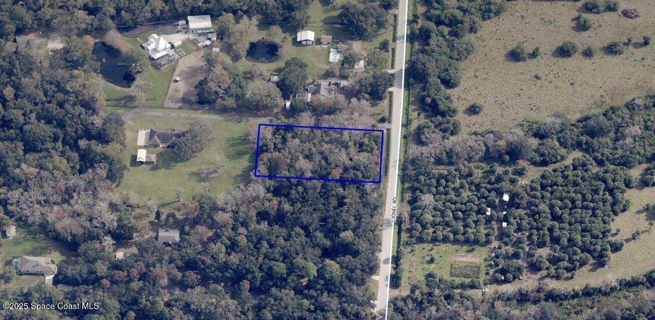 3358 Lionel Road Mims, FL 32754 - Photo 5 of 6