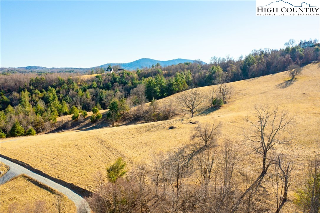 Fox Trot Lane Sparta, NC 28675 - Photo 13 of 44 a view of a mountain