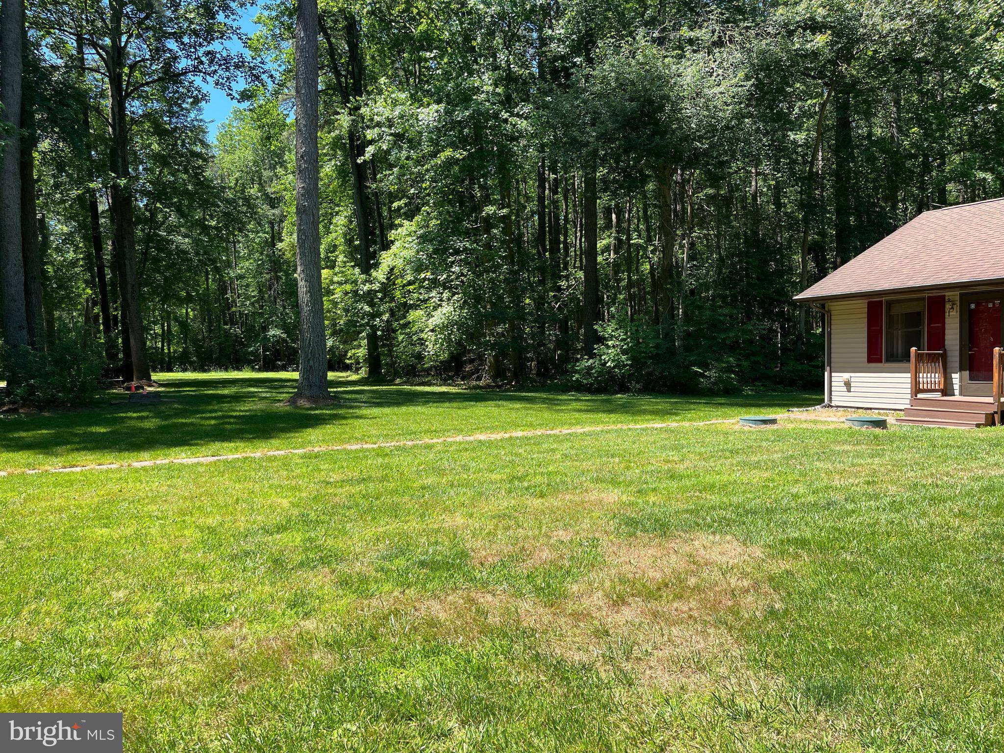 979 Barney Jenkins Road Felton, DE 19943 - Photo 4 of 14