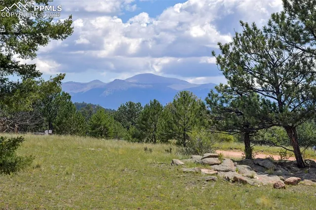 a view of a lake in middle of forest