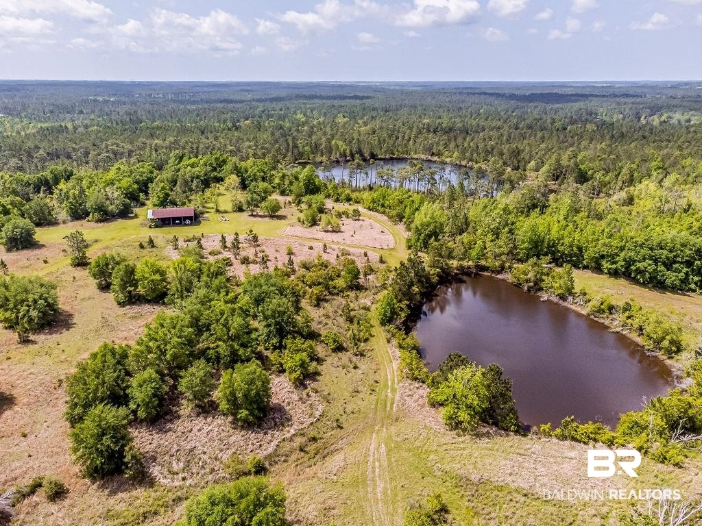 0 Kings Ldg Road Seminole, AL 36574 - Photo 15 of 17