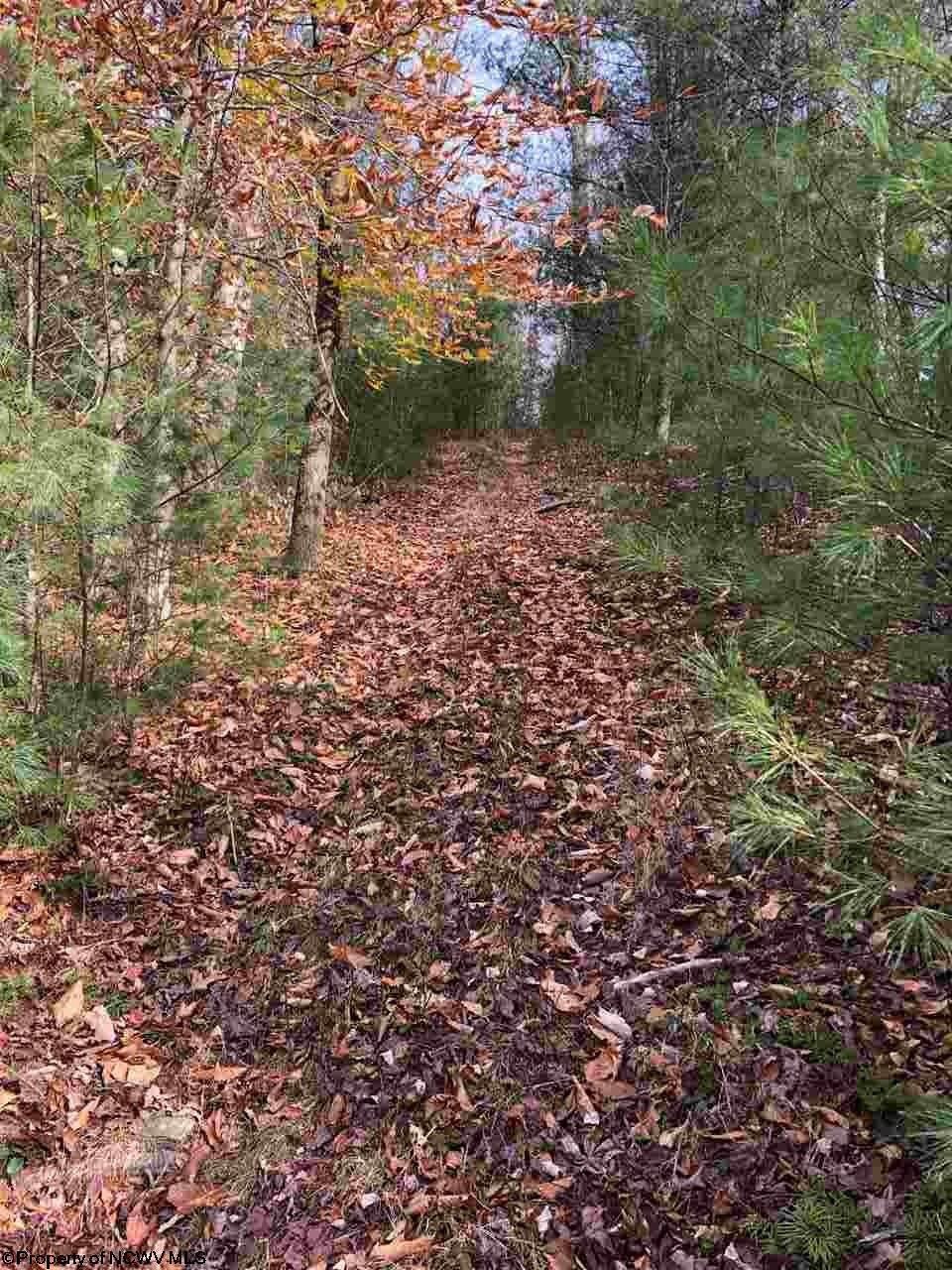 Tbd Gilman Road Elkins, WV 26241 - Photo 2 of 16 Gallery Image 2