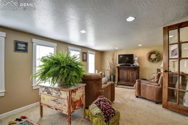 a living room with furniture potted plant and a flat screen tv