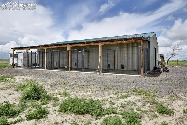 a living room with furniture a floor to ceiling window and a potted plant