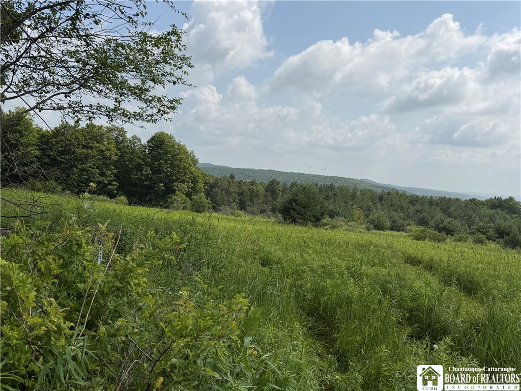 2751 Canfield Road Cohocton, NY 14826 - Photo 29 of 50