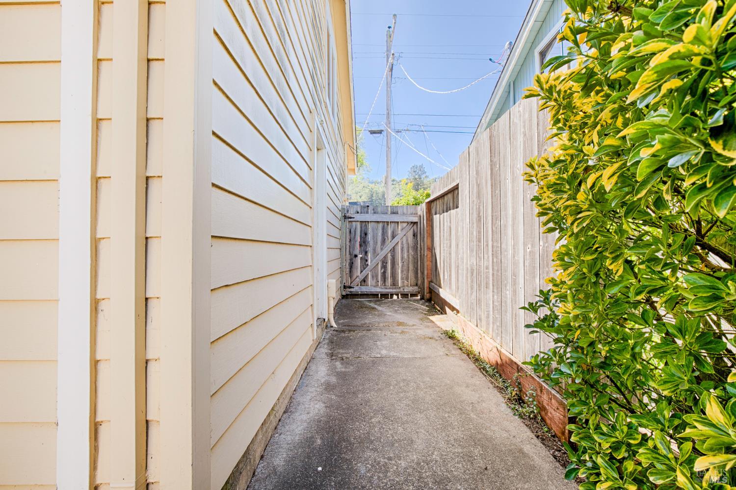 41 Meadow Avenue San Rafael, CA 94901 - Photo 38 of 55 Facing the house, this is the left hand side yard with a gate. This is a view from the back yard.